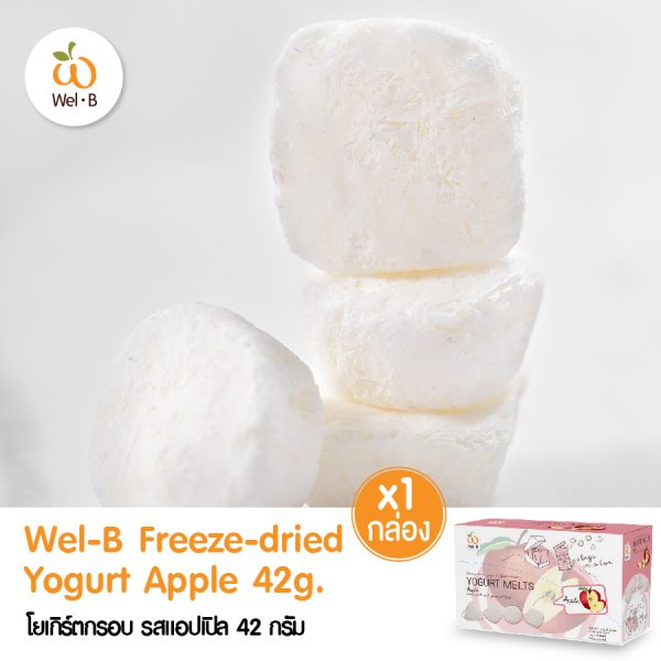 Wel-B FD Yogurt Apple 42g. – WelB Snack